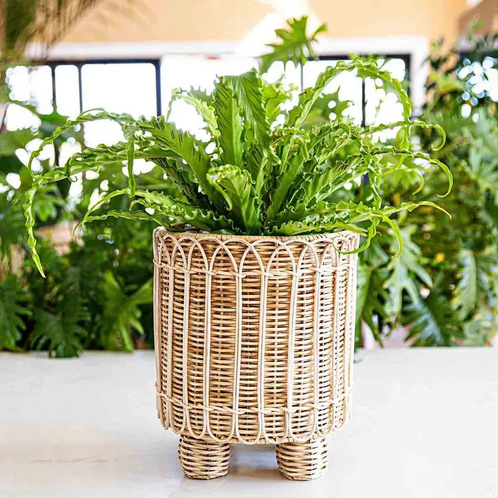 Provence Round Planter - Brown, Rattan
