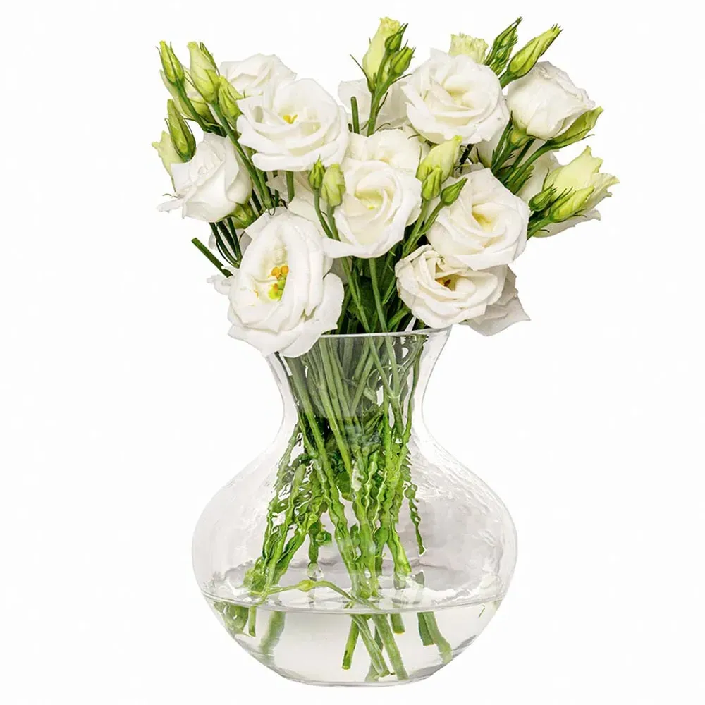 Puro Decorative Table Vase - Clear, Glass