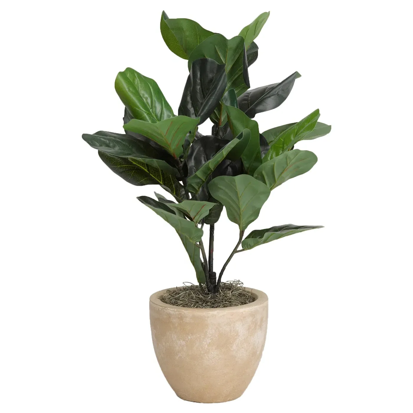 Adalyn Faux Fiddle Leaf Fig Tree - Green image