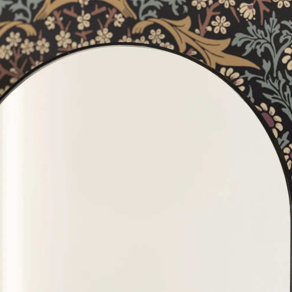 Alaina Arched Medicine Cabinet Mirror - Black, Metal