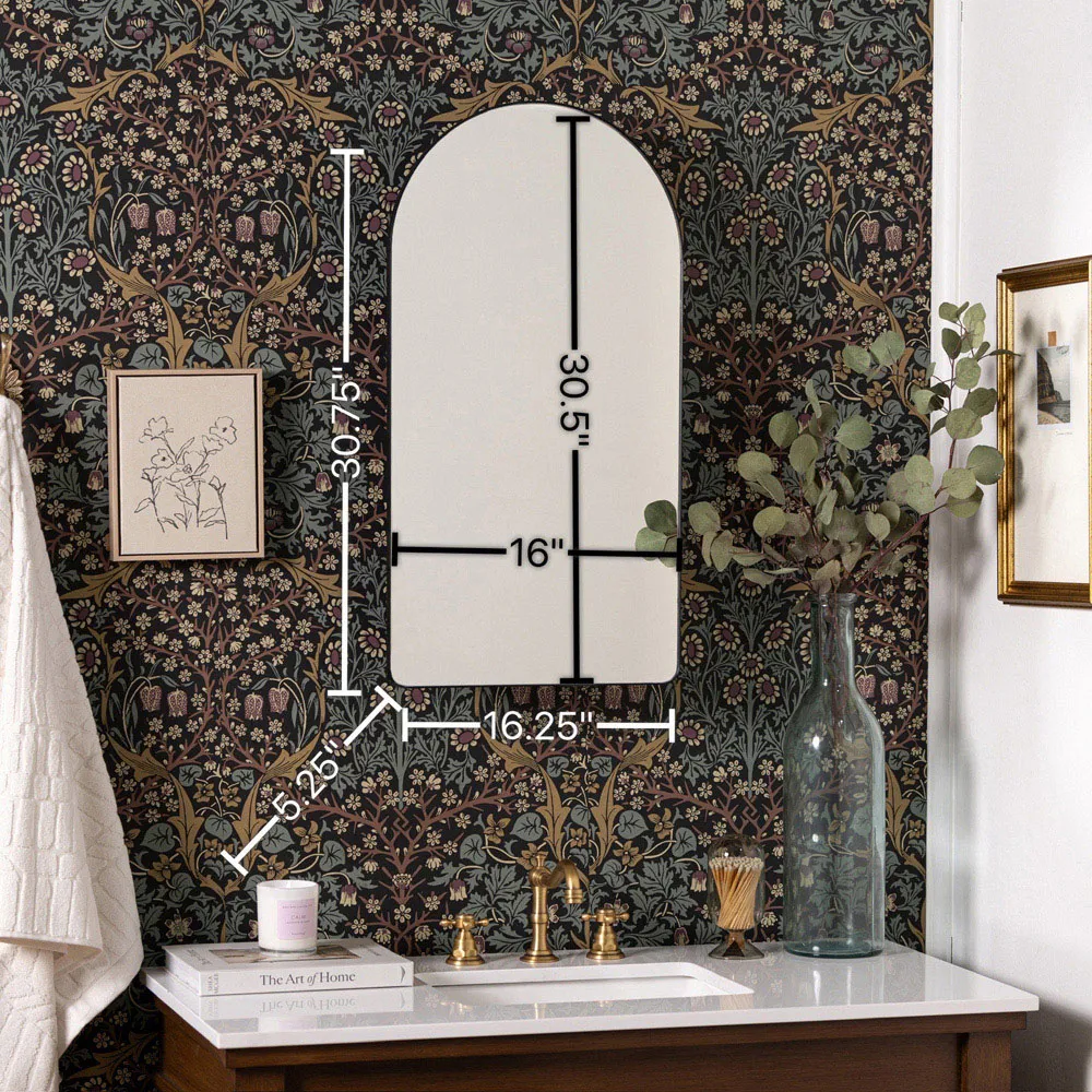 Alaina Arched Medicine Cabinet Mirror - Black, Metal