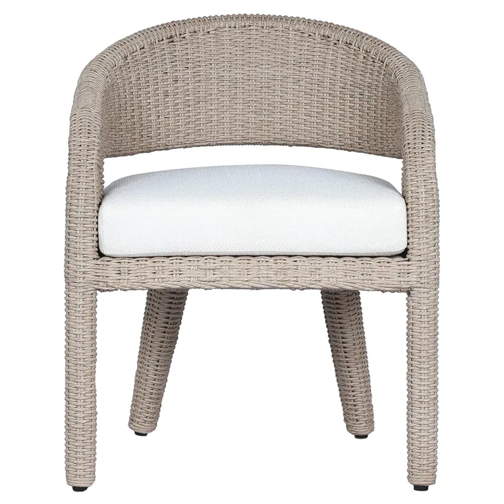 Alexander Woven Outdoor Dining Arm Chair - Beige, Aluminum image