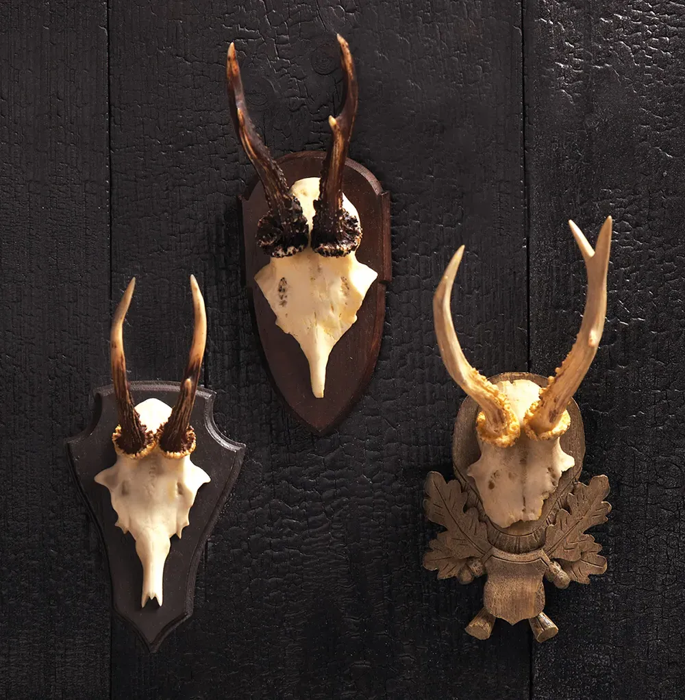 Alsace Hunt Club Antler Wall Mount Trophy Set - Beige