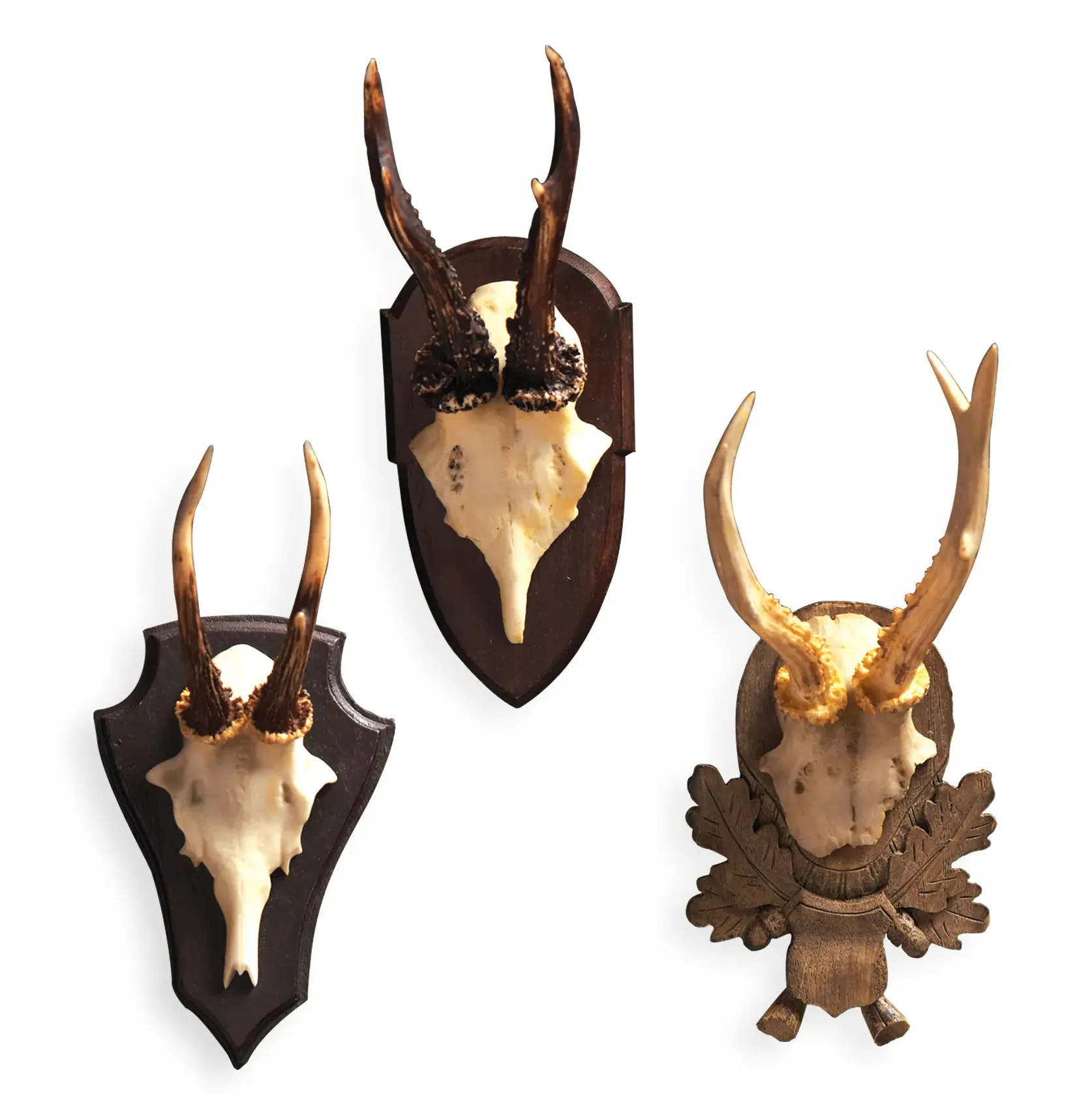 Alsace Hunt Club Antler Wall Mount Trophy Set - Beige image