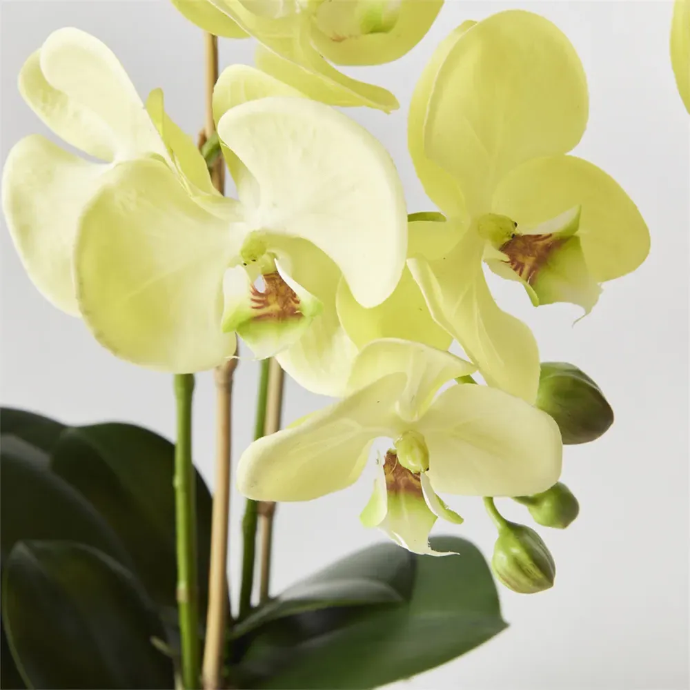 Angel Large Phalaenopsis Orchid Drop In Faux Floral - Yellow