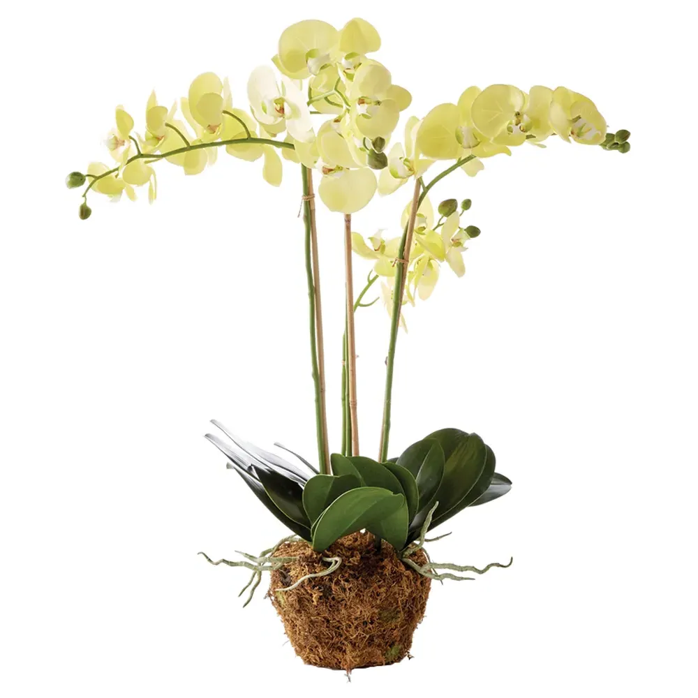 Angel Large Phalaenopsis Orchid Drop In Faux Floral - Yellow