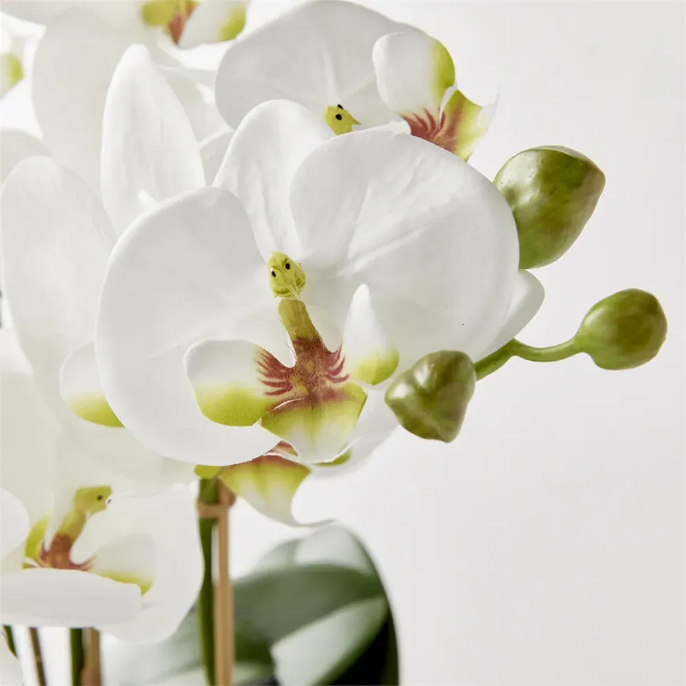Angel Phalaenopsis Orchid Bowl Faux Floral - White