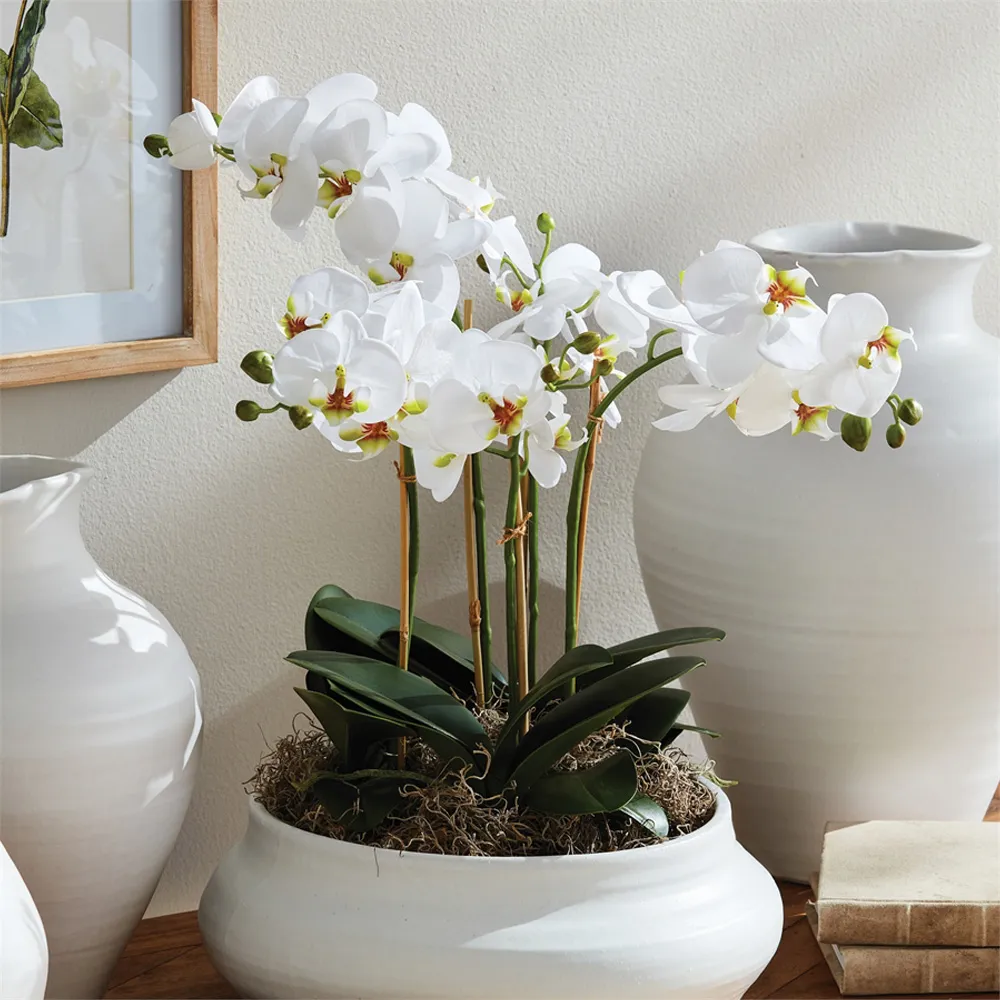 Angel Phalaenopsis Orchid Bowl Faux Floral - White