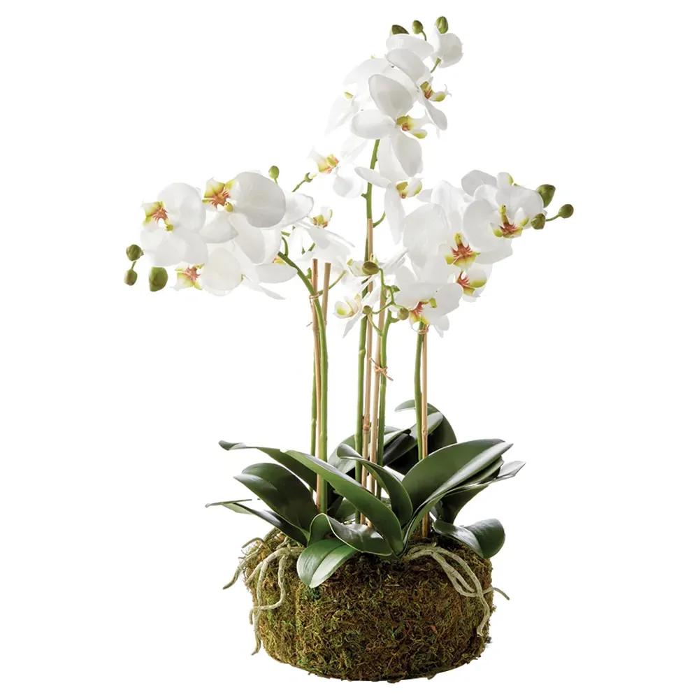 Angel Phalaenopsis Orchid Bowl Faux Floral - White