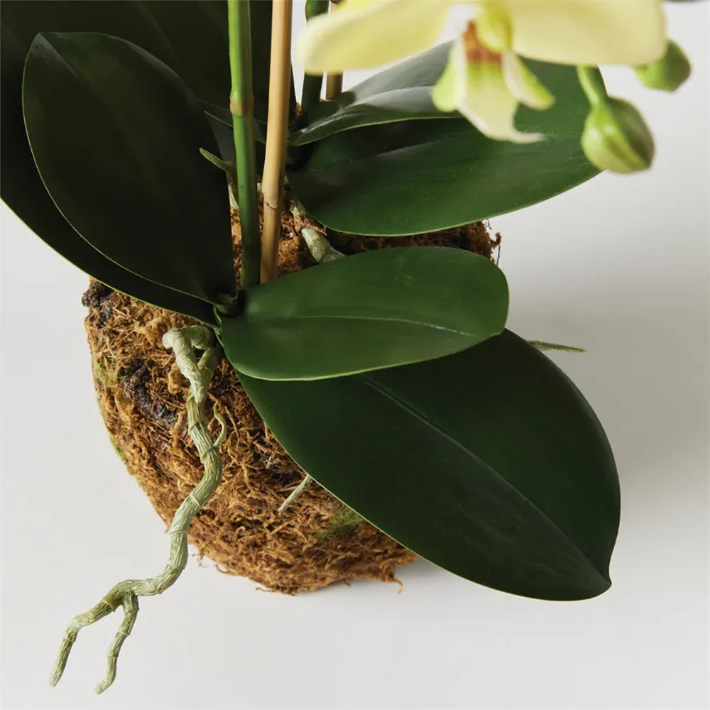 Angel Small Phalaenopsis Orchid Drop In Faux Floral - Yellow