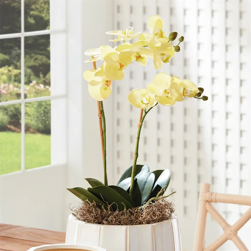 Angel Small Phalaenopsis Orchid Drop In Faux Floral - Yellow