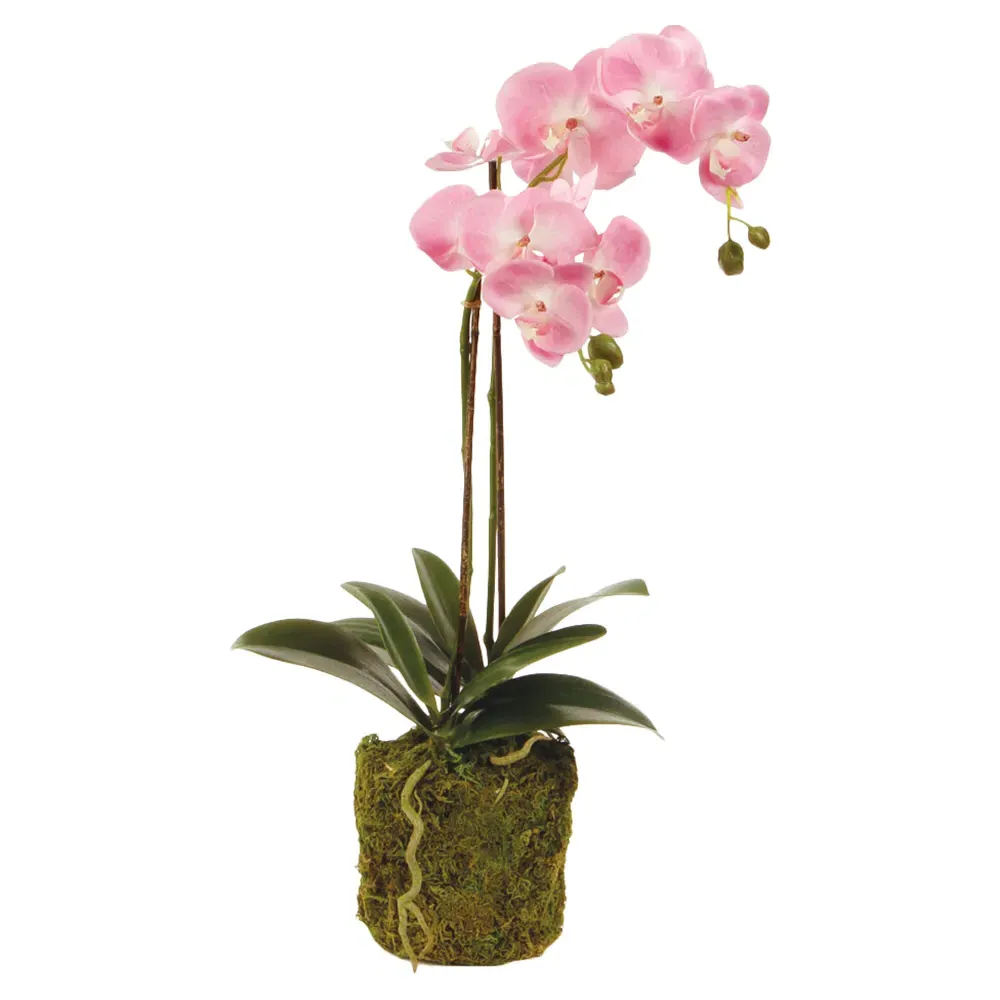 Angel Small Phalaenopsis Orchid Faux Floral - Pink image