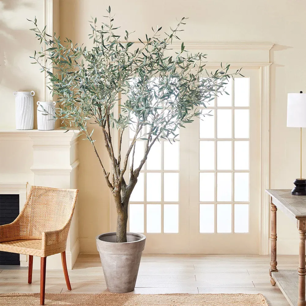 Apollo Large Olive Drop In Potted Tree - Green