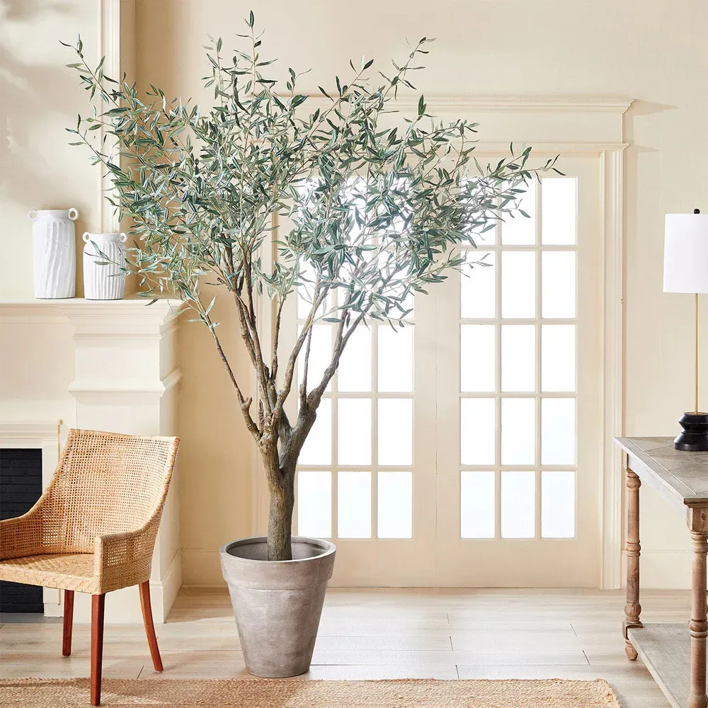 Apollo Large Olive Drop In Potted Tree - Green