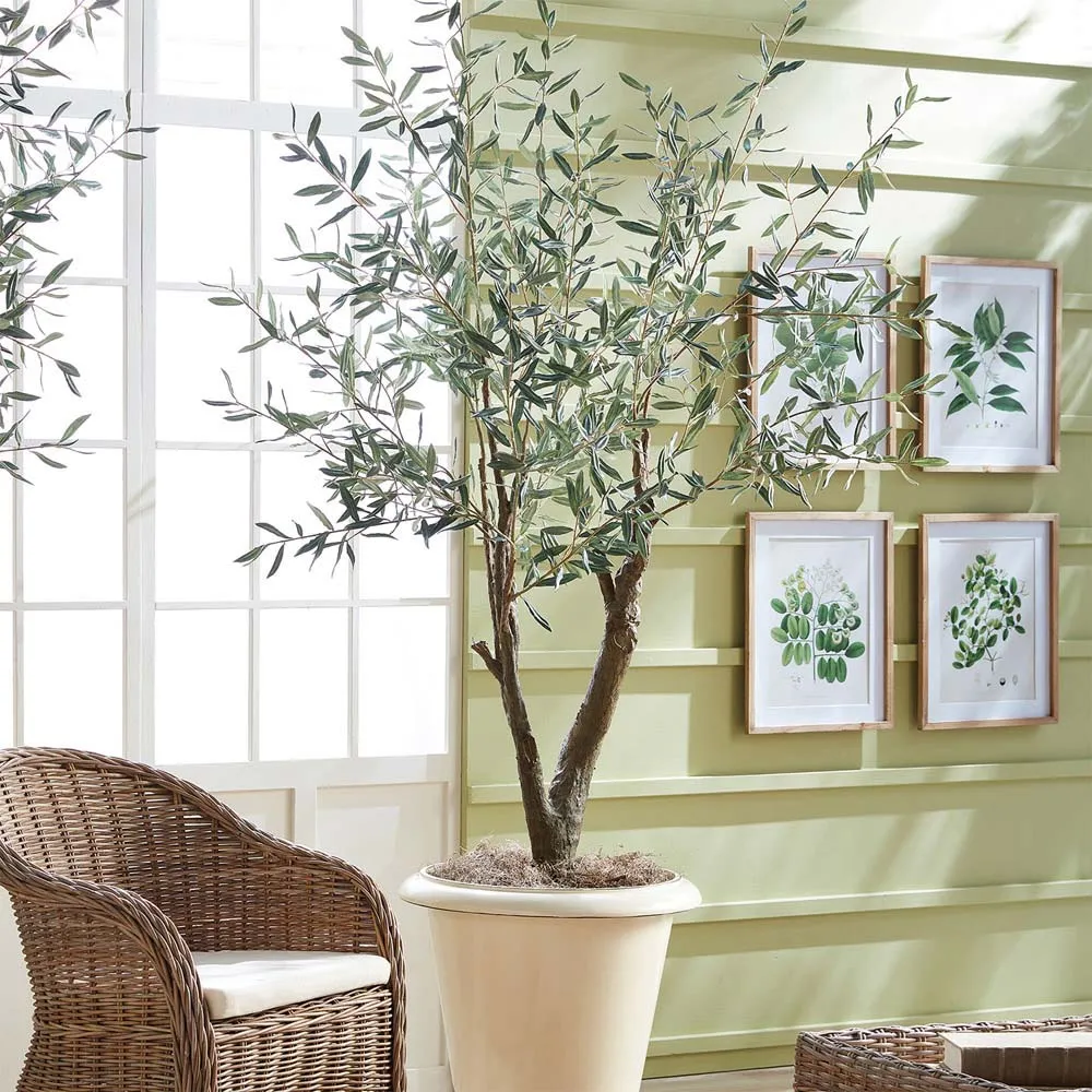 Apollo Small Olive Drop In Potted Tree - Green