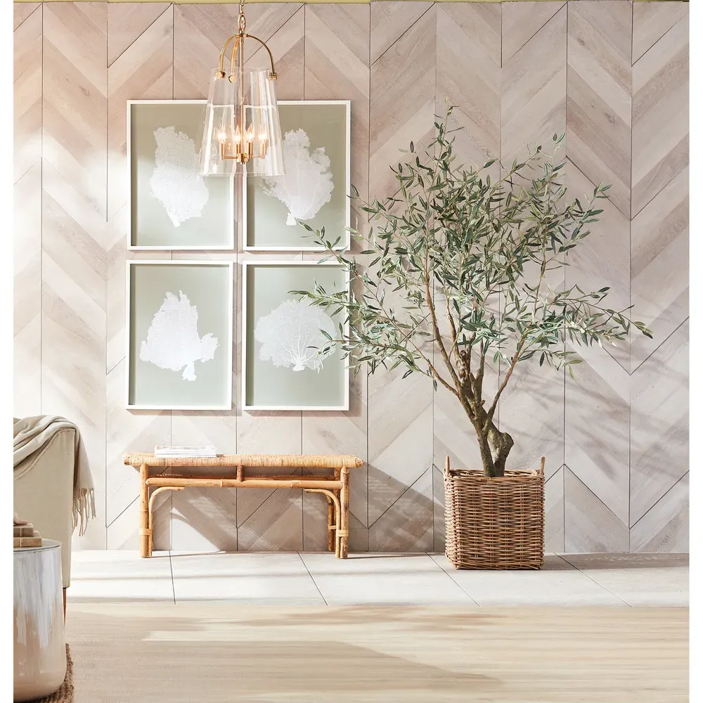 Apollo Small Olive Drop In Potted Tree - Green