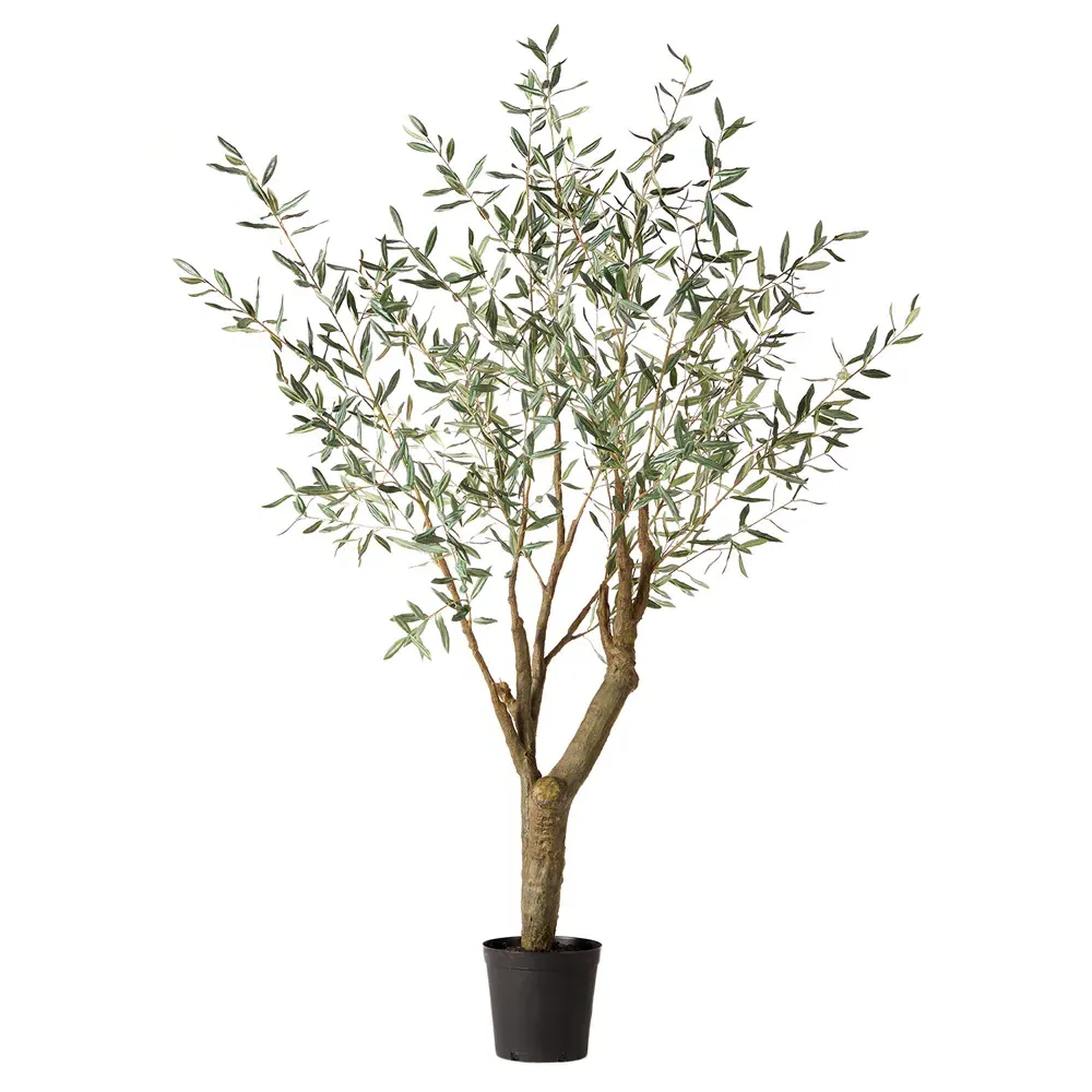 Apollo Small Olive Drop In Potted Tree - Green image