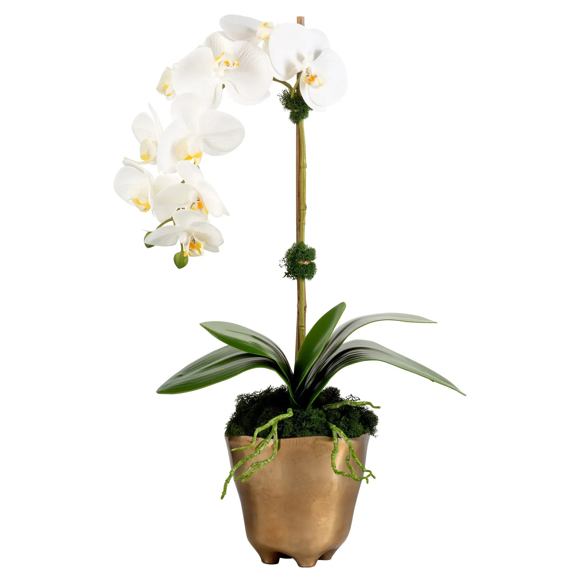 Ariela Orchid Faux Floral Arrangement - White, Gold image