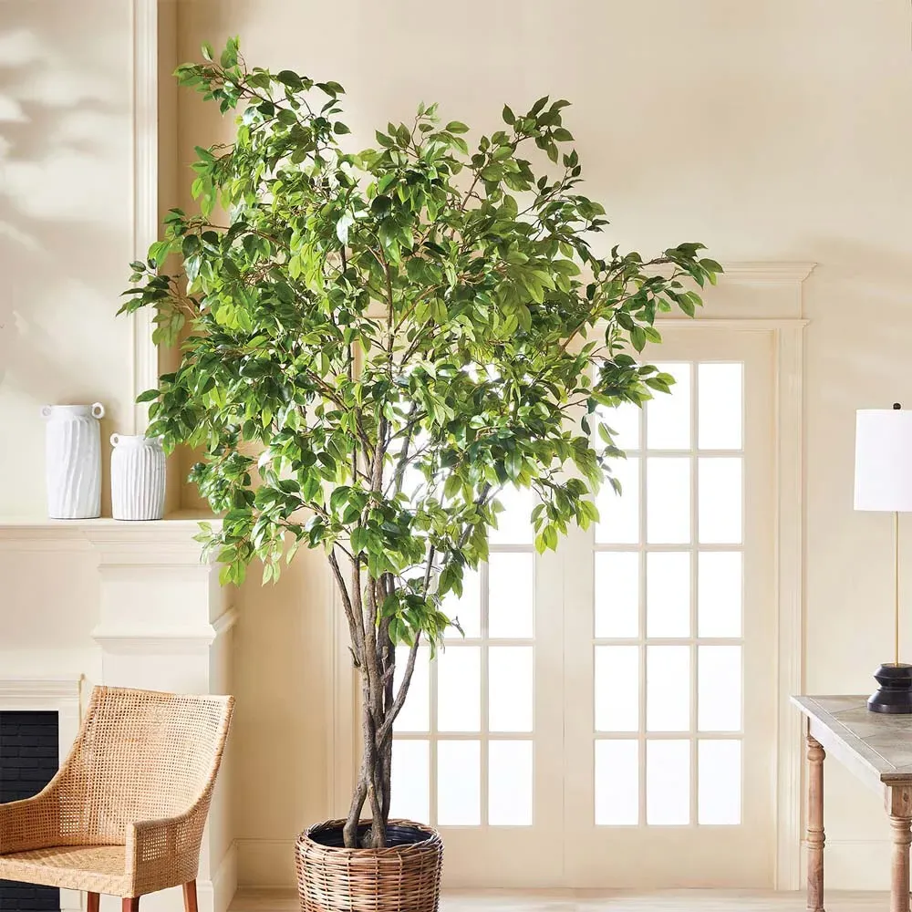 Artemis Large Ficus Potted Tree - Green