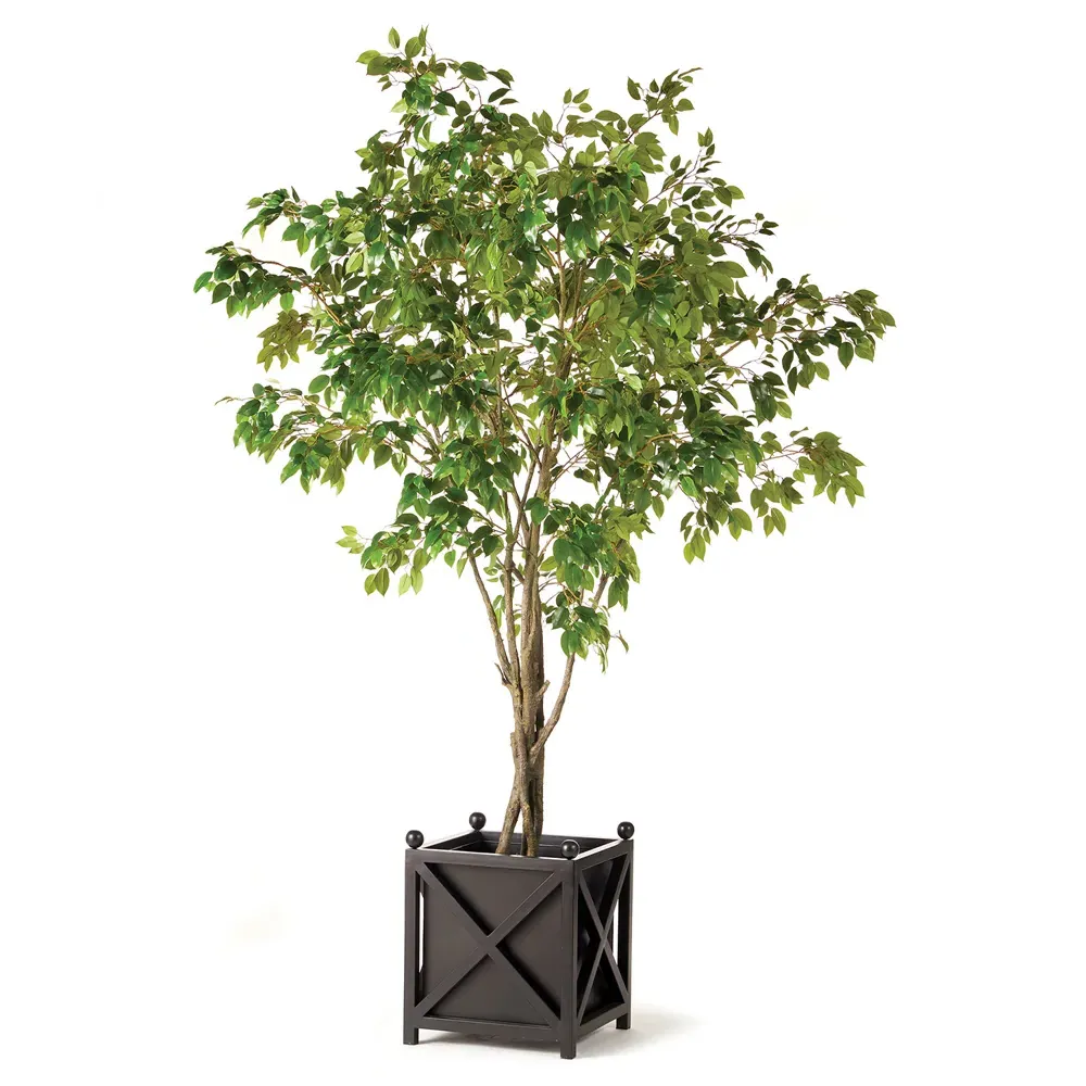 Artemis Large Ficus Potted Tree - Green