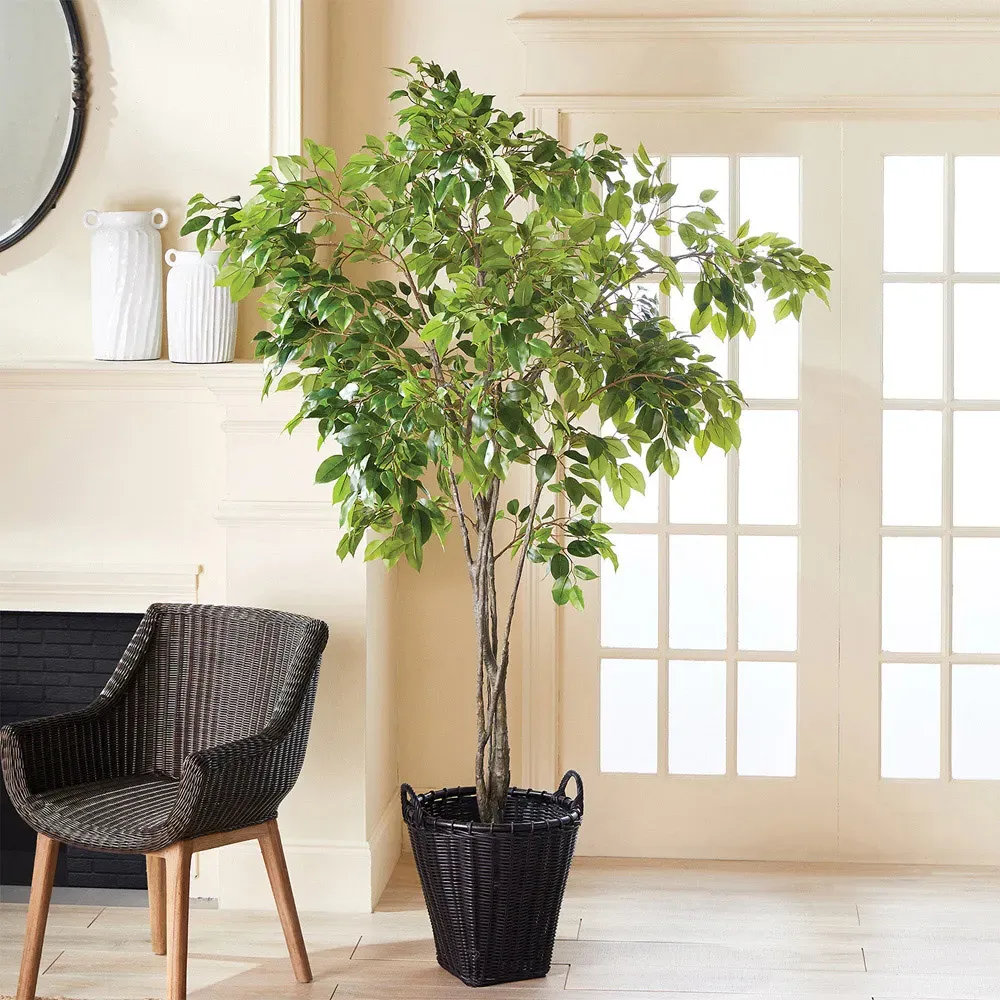 Artemis Small Ficus Potted Tree - Green