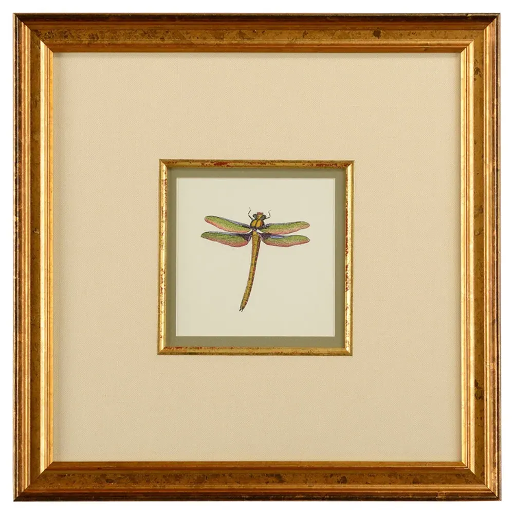 Astrid Green Dragonfly Framed Illustration I - Gold Frame image