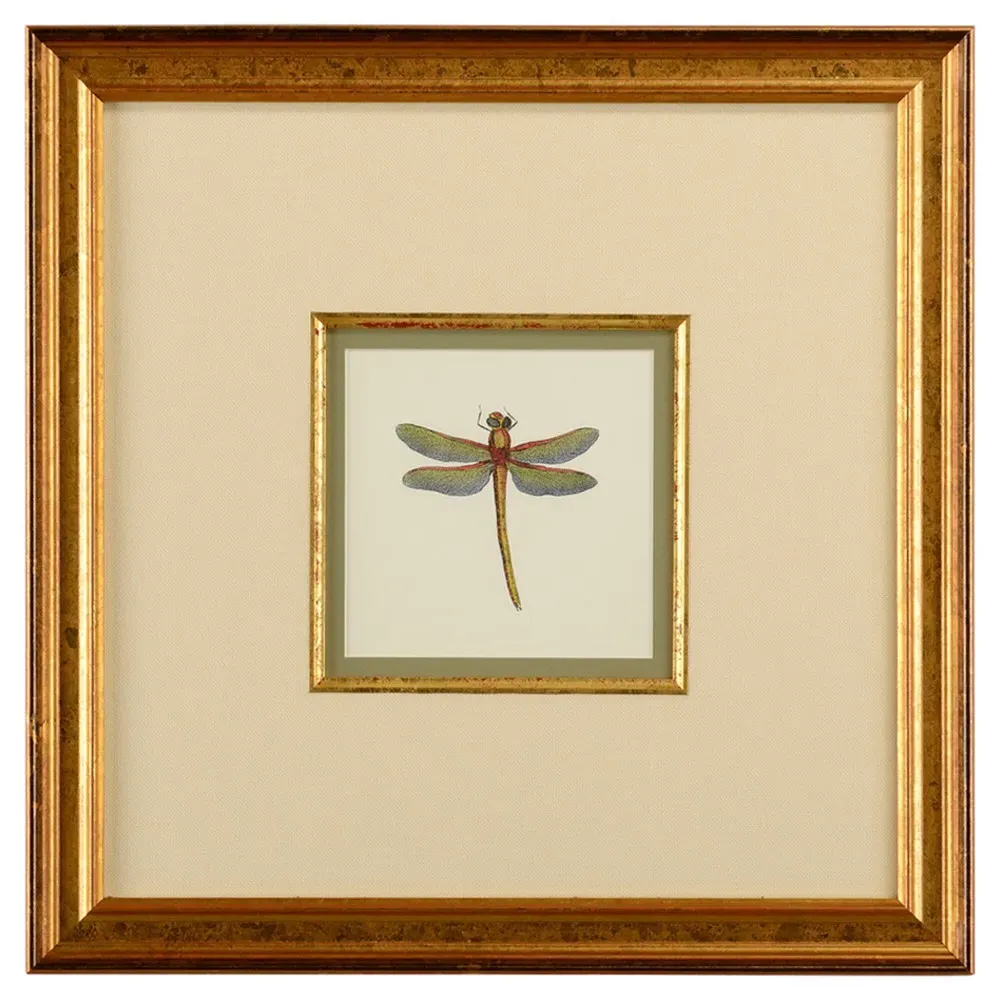 Astrid Green Dragonfly Framed Illustration II - Gold Frame