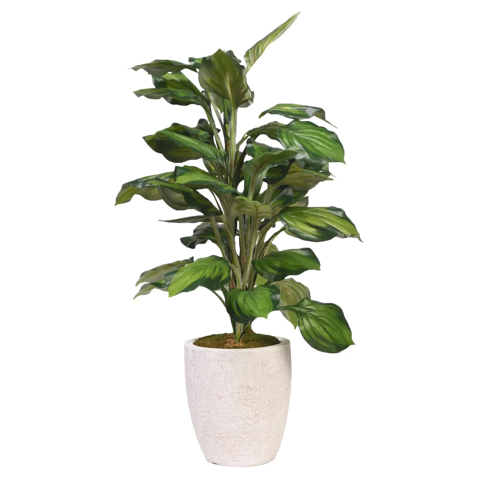 Aurelia 3.5' Faux Hosta Tree - Green, Polysilk image