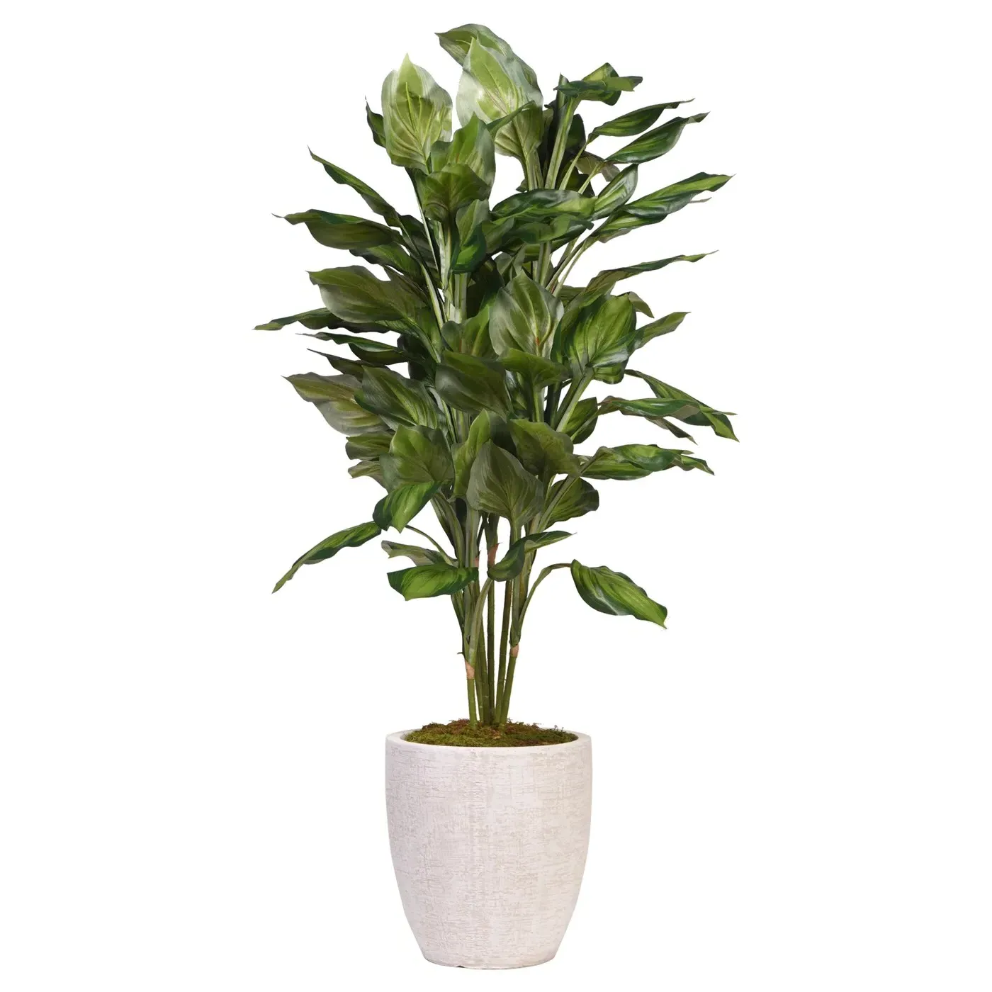 Aurelia 4.5' Faux Hosta Tree - Green, Polysilk