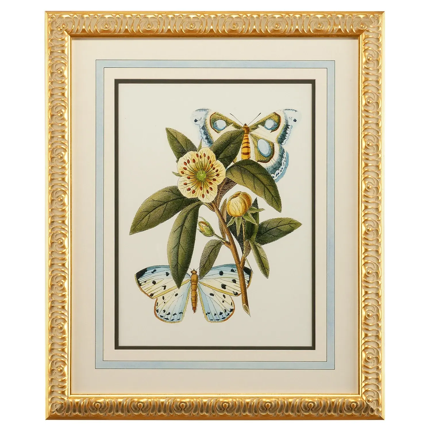 Aurella Butterfly Gold Leaf Frame Illustration 1 - Blue image