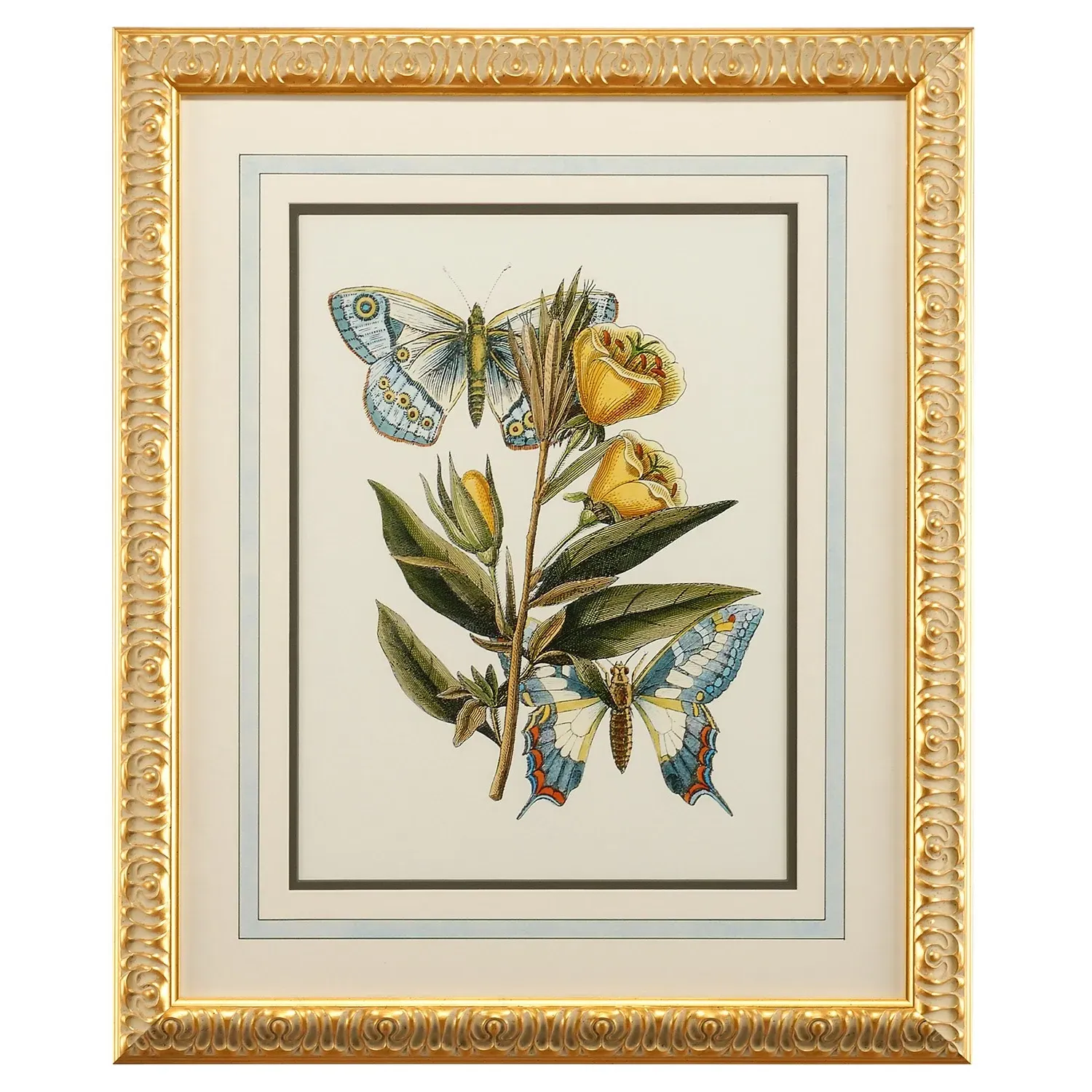 Aurella Butterfly Gold Leaf Frame Illustration 2 - Blue