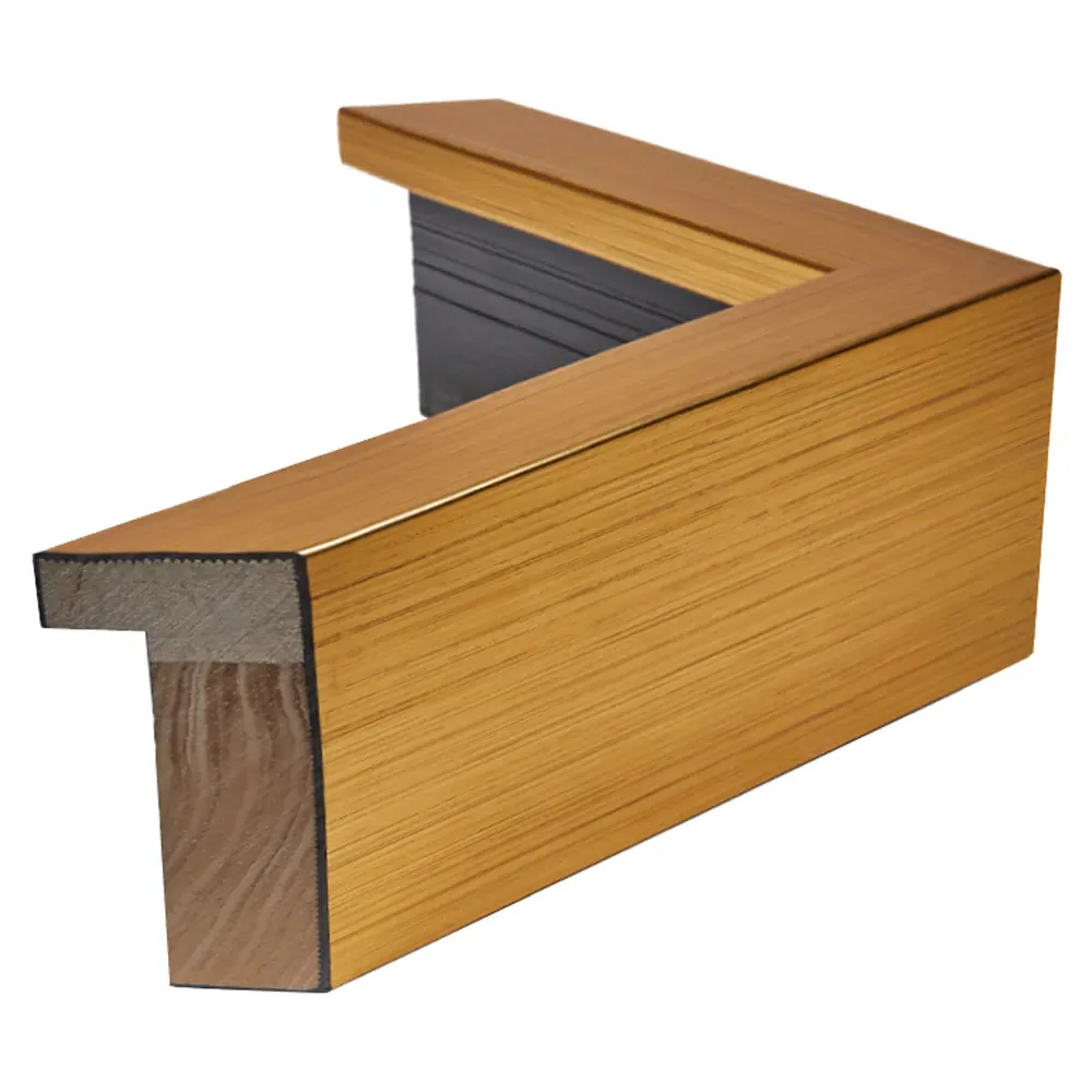 Aurora Portrait Gold Frame Women Curves Illustration II - Black