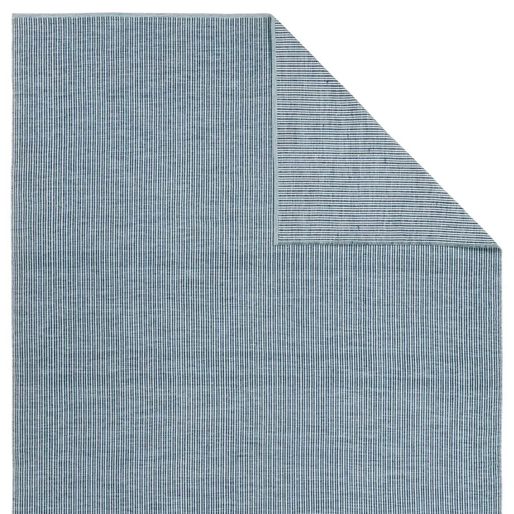 Avalyn Sample Striped Indoor Outdoor Rug - Blue, PET Yarn