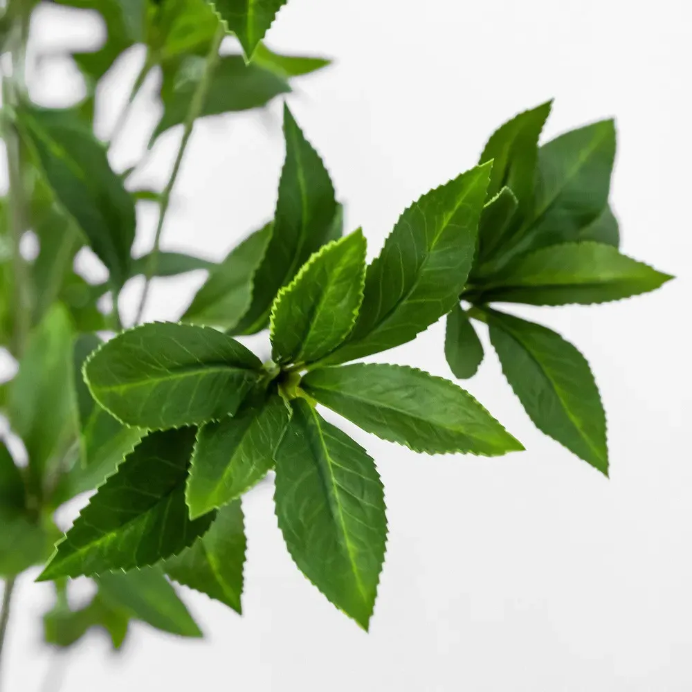 Bernice 8' Faux Pieres Potted Tree - Green