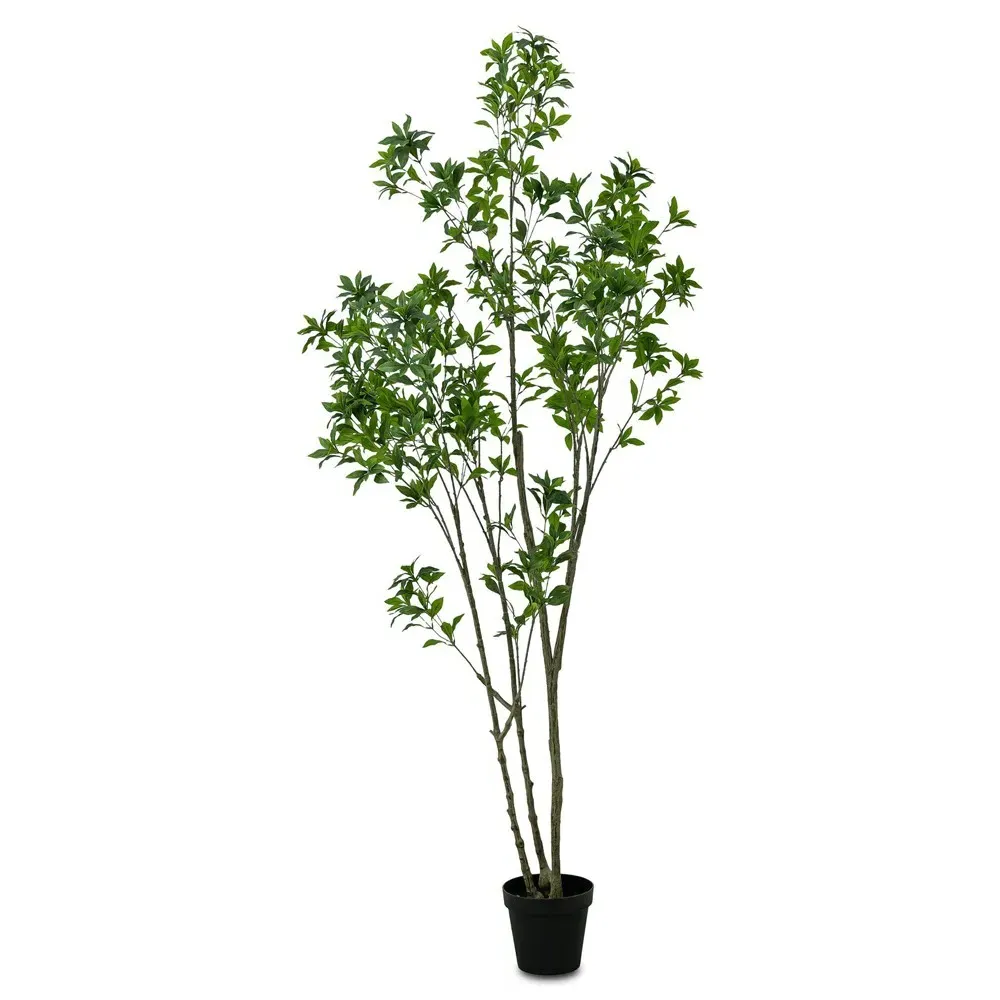 Bernice 8' Faux Pieres Potted Tree - Green