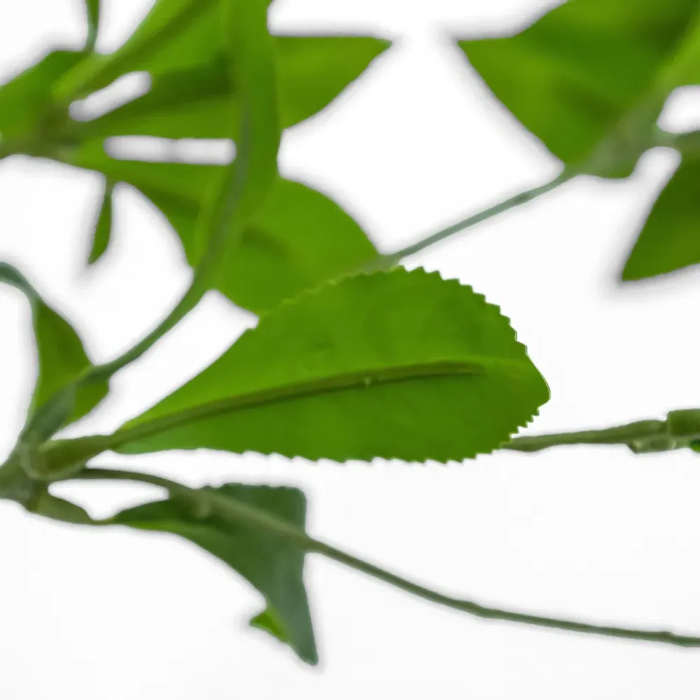 Bernice 8' Faux Pieres Potted Tree - Green