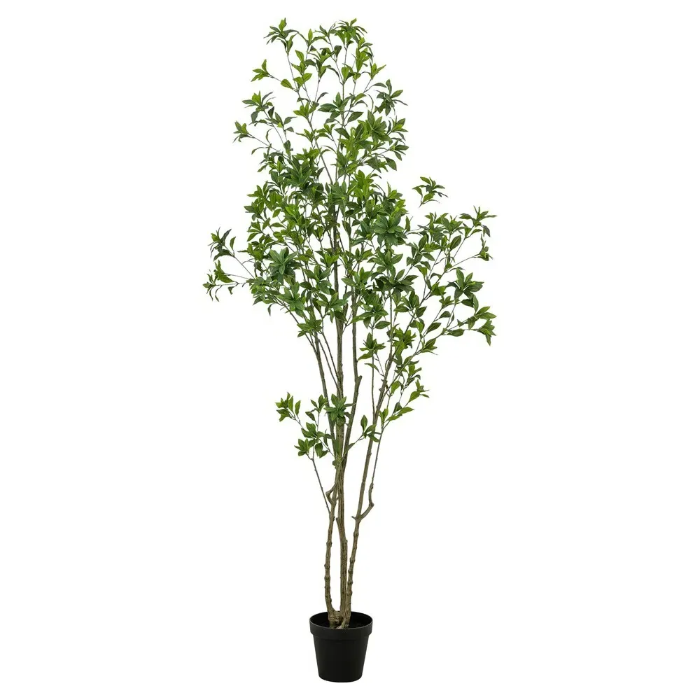 Bernice 8' Faux Pieres Potted Tree - Green image
