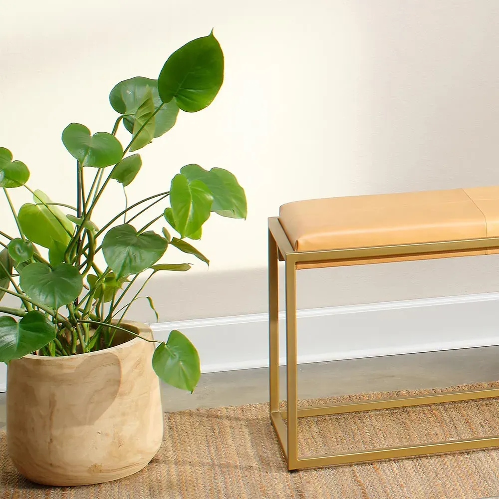 Blake Basin Vase - Brown, Wood