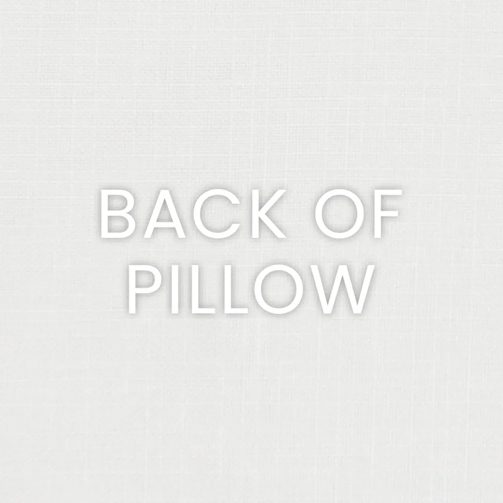 Bowen Feather Down Throw Pillow - White