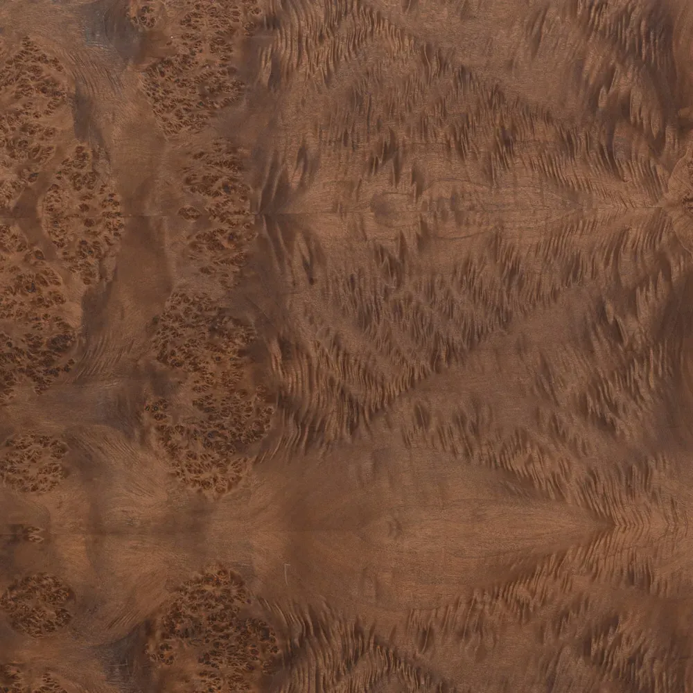 Briella 2-Door Sideboard - Dark Brown, Burl Wood