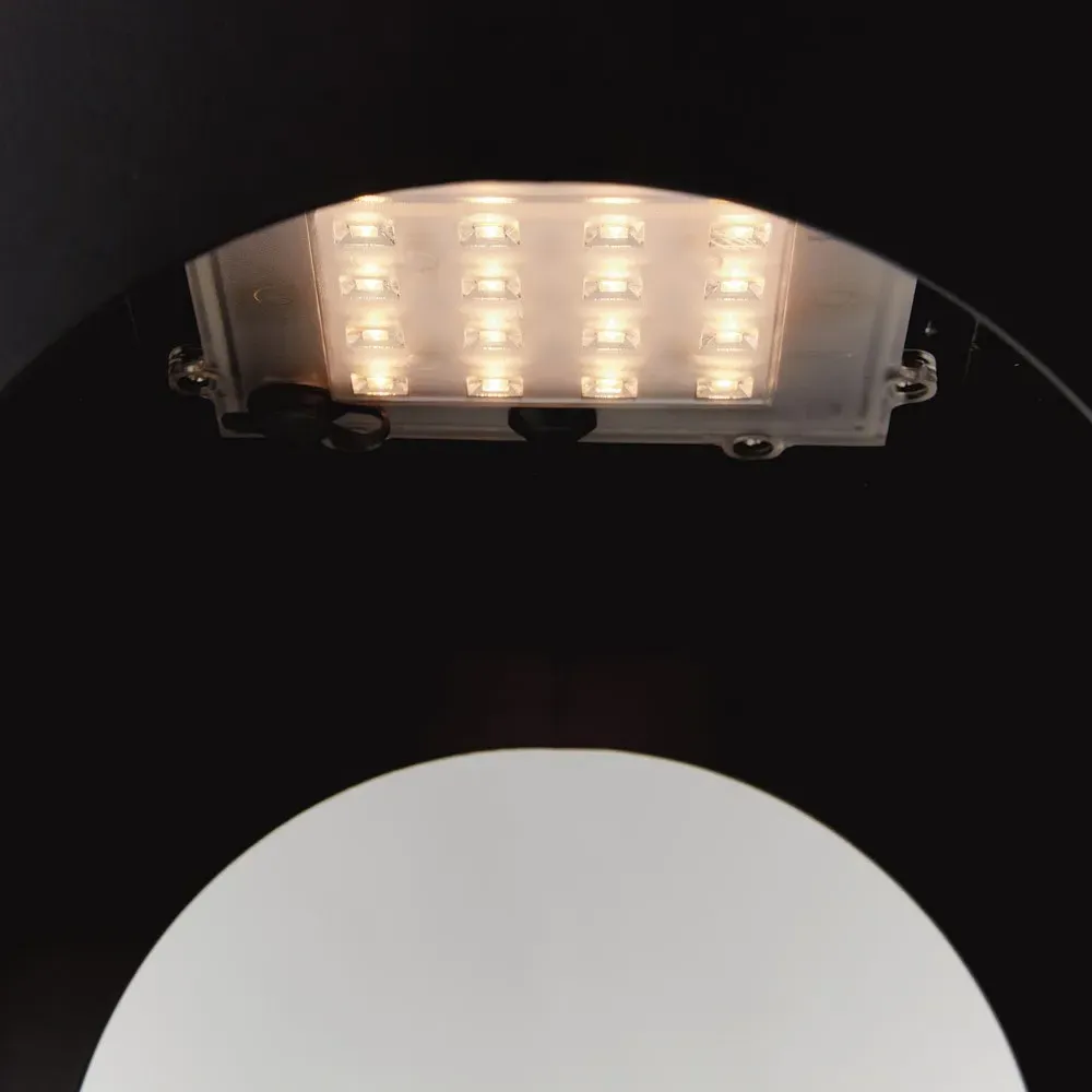 Briselle Small Solar Outdoor Lantern - Black, Metal