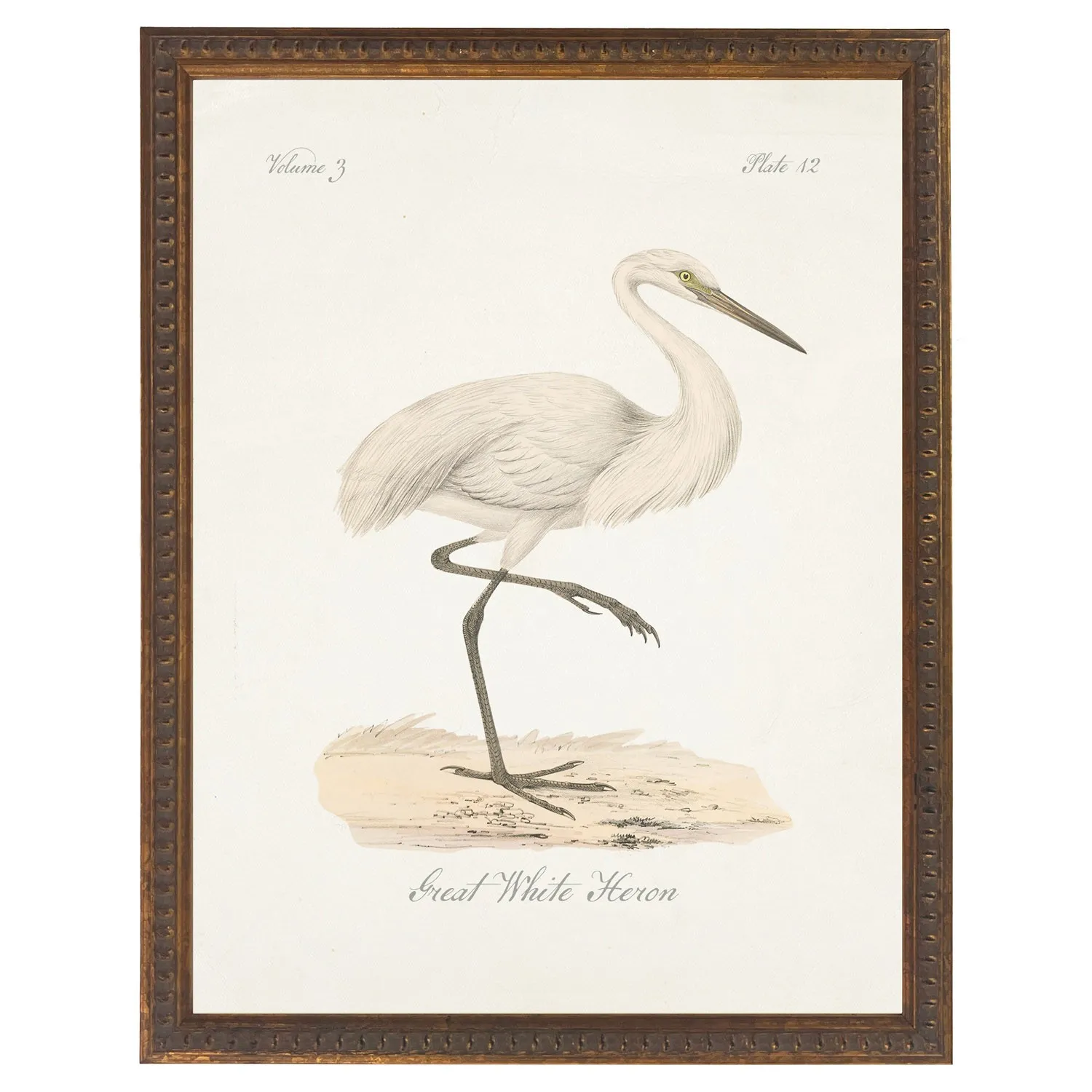 Cecilia White Heron Antique Gold Frame Painting - White