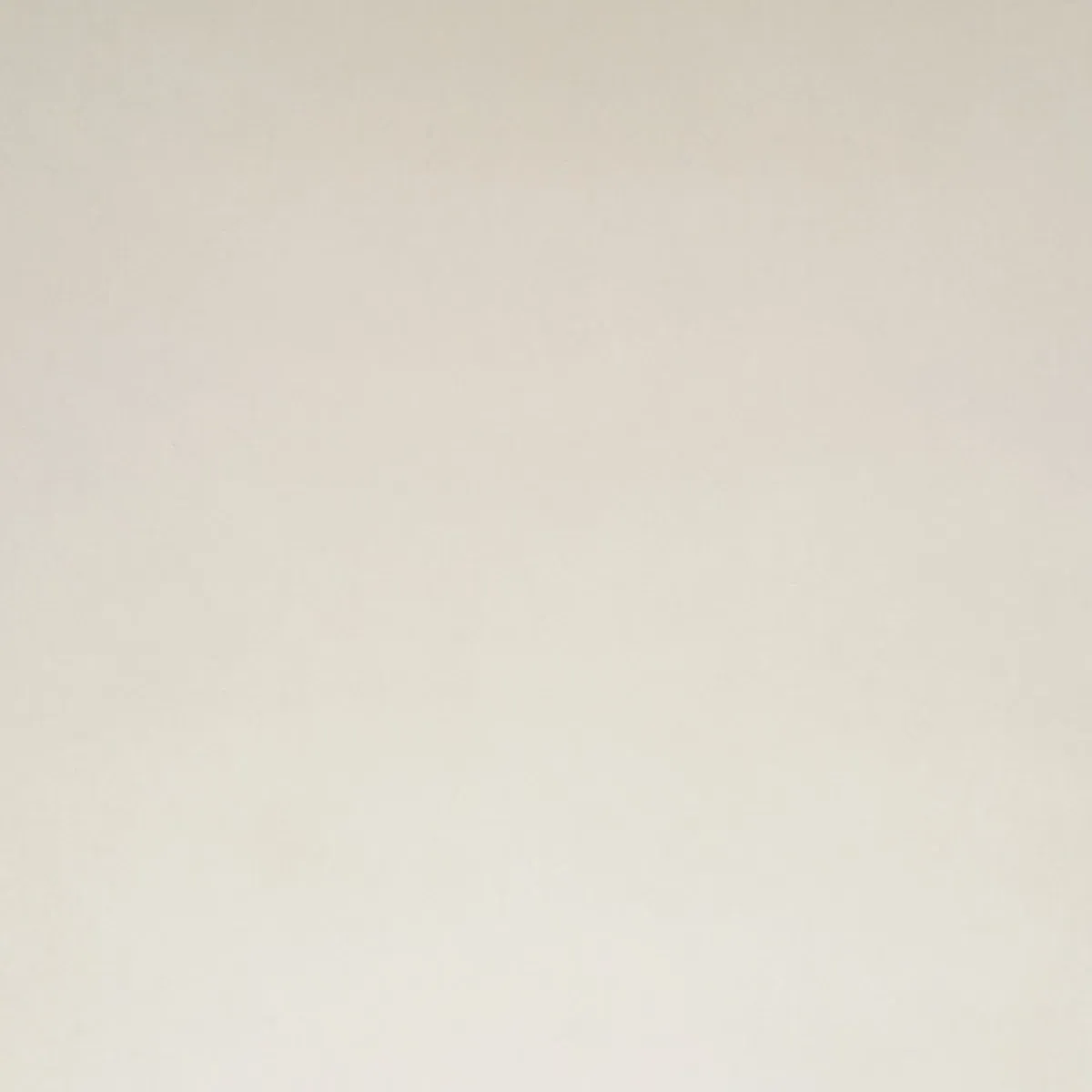 Celestine 22x22 Throw Pillow with Black Piping - Cream, Polyester