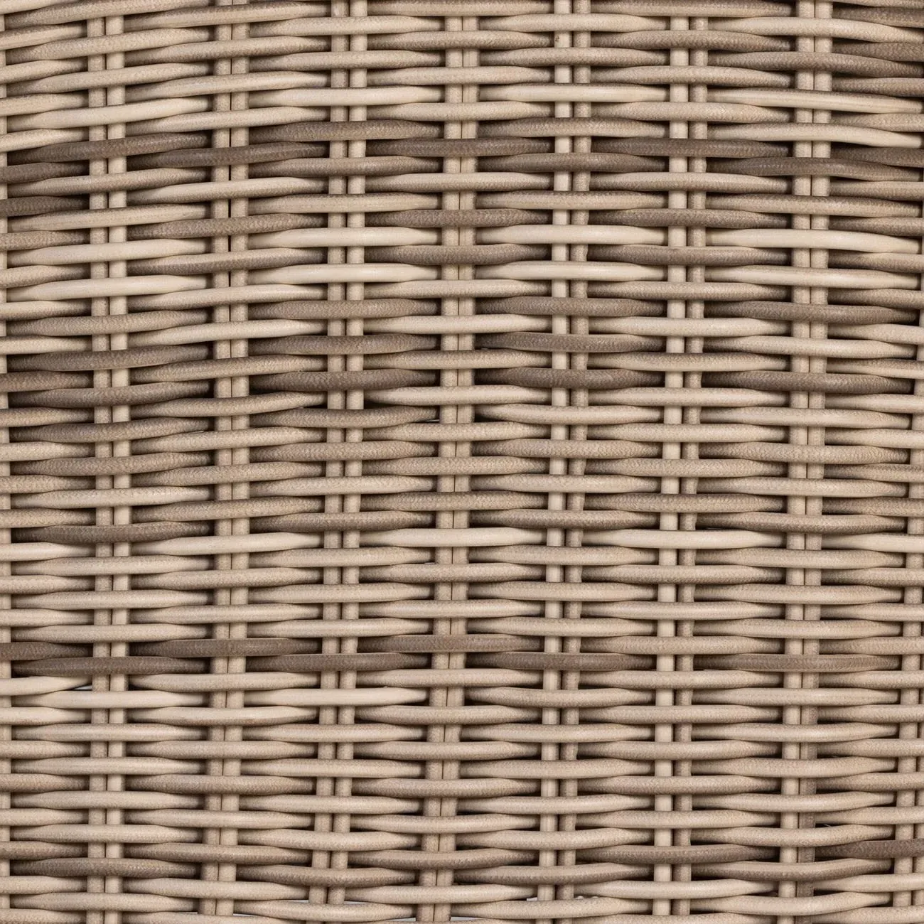 Celina Outdoor Dining Arm Chair - White, Teak