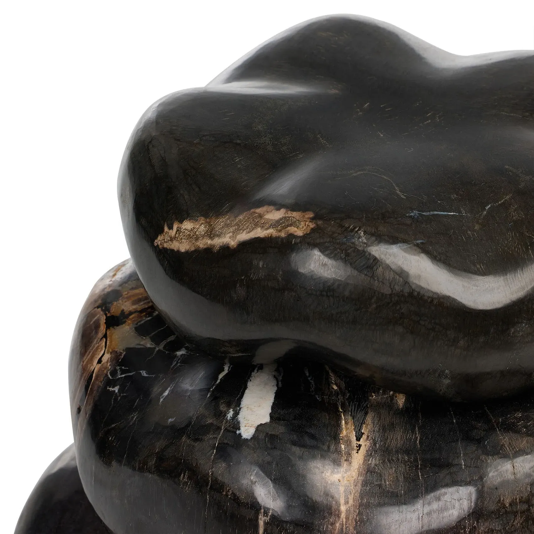 Conor Decorative Sculpture Set - Black, Petrified Wood