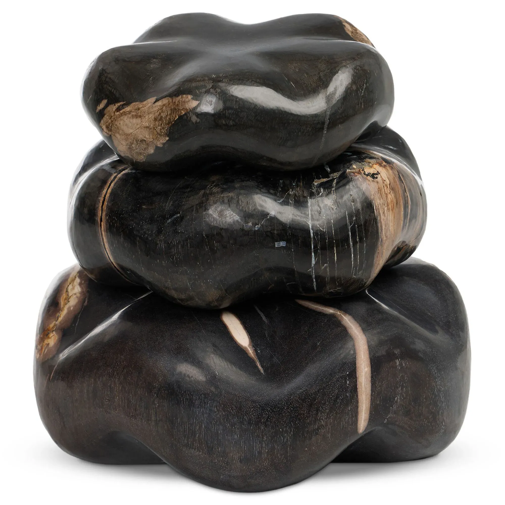 Conor Decorative Sculpture Set - Black, Petrified Wood