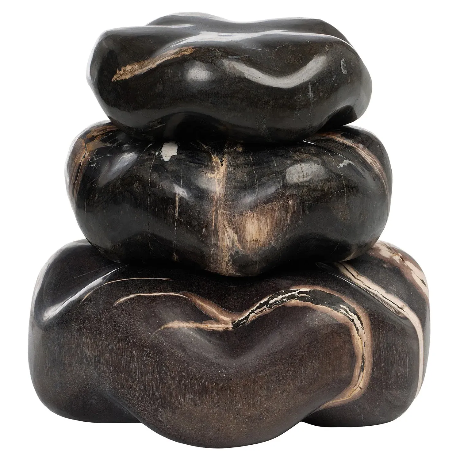 Conor Decorative Sculpture Set - Black, Petrified Wood