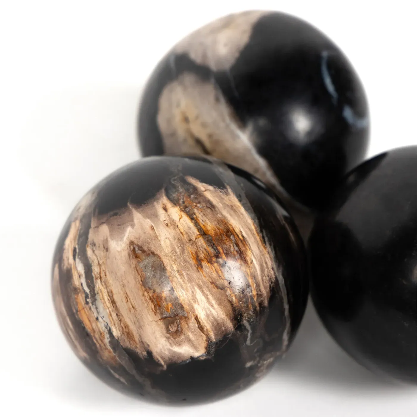 Conor Round Decorative Objects Set - Black, Wood