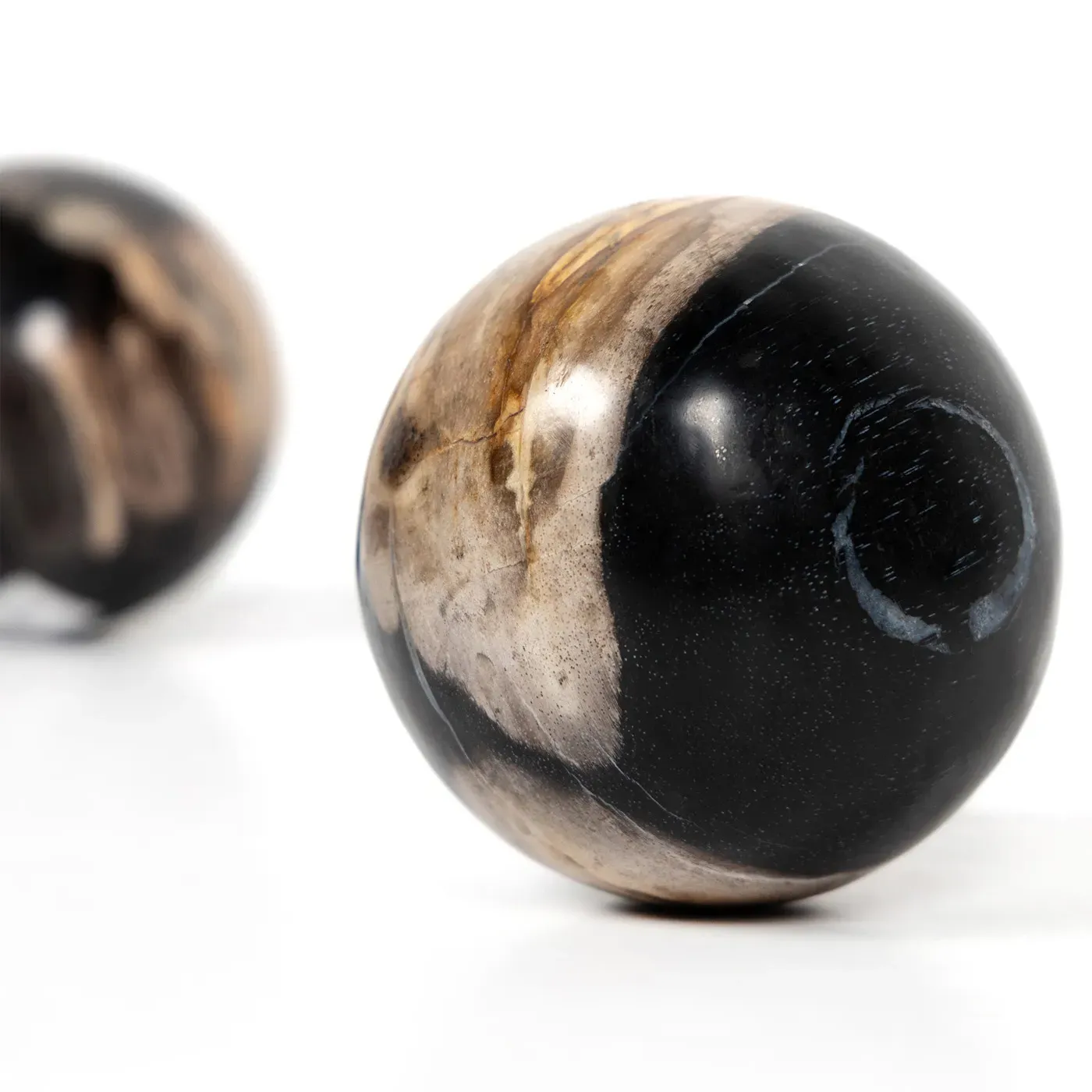 Conor Round Decorative Objects Set - Black, Wood