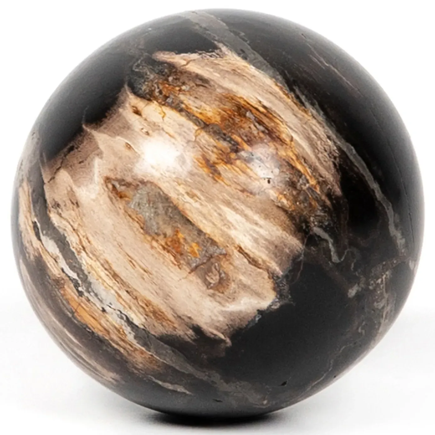 Conor Round Decorative Objects Set - Black, Wood